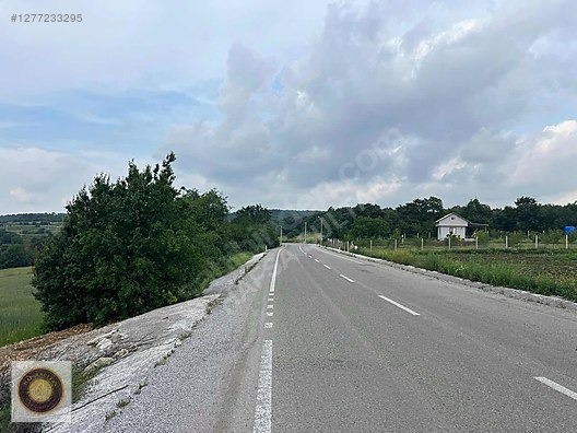 İNEGÖL DÖMEZ MH SATILIK TOPLAM 3.000M2 - BURSA İNEGÖL fotoğraf 4