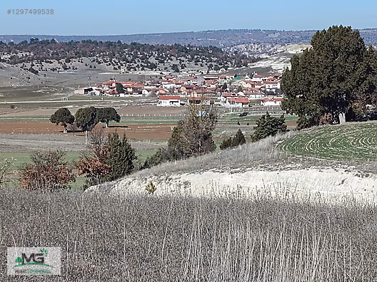KÜTAHYA MERKEZ GÖÇERİ KÖYÜ FIRSAT ARAZİ - KÜTAHYA MERKEZ fotoğraf 5