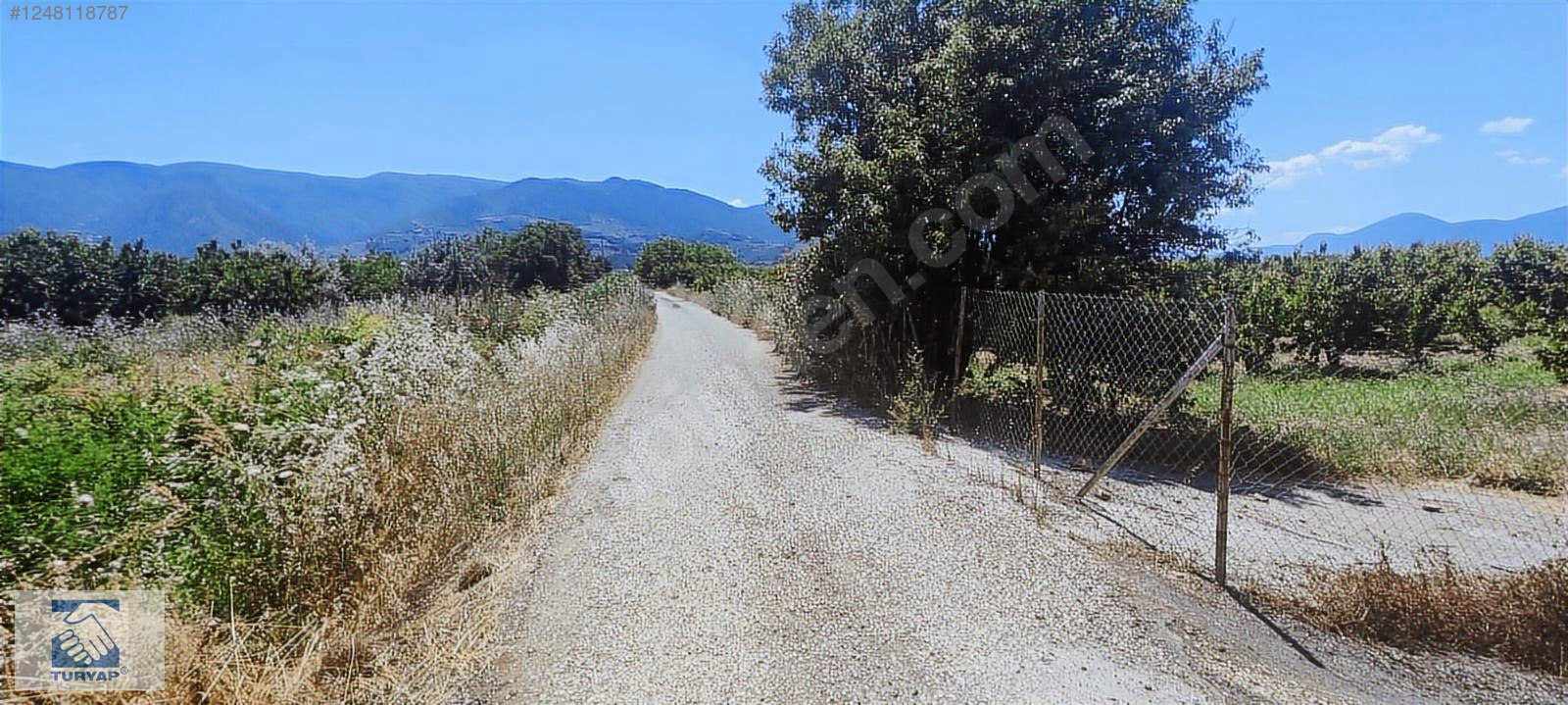 Kemalpaşa Örende 1234 M2 Satılık Müstakil Bahçe - İZMİR KEMALPAŞA fotoğraf 6