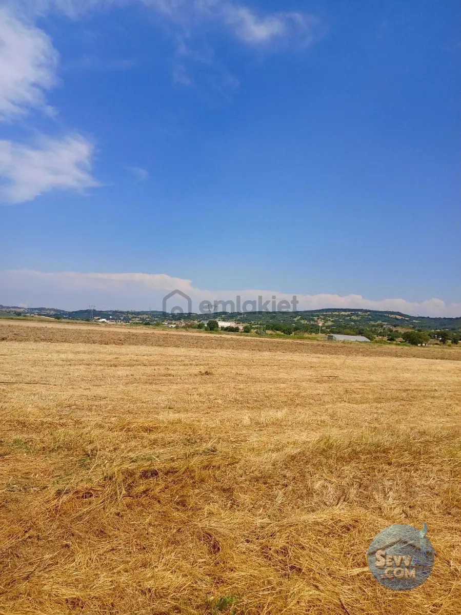 Gökçeyazı Da Kadastro Yolu Mevcut Tarla - BALIKESİR İVRİNDİ fotoğraf 18