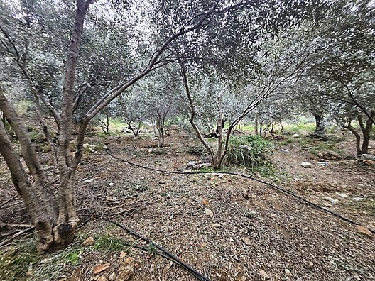 MUHTESEM LOKASYON 258M2 SUPER YATİRİM DUNYA GÖZBEBEĞİ VİLLA ARSA - MUĞLA FETHİYE fotoğraf 19