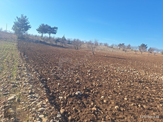 GÜLNAR SARAY MAHALLESİNDE SATILIK 10500 M2 TARLA - MERSİN GÜLNAR fotoğraf 6