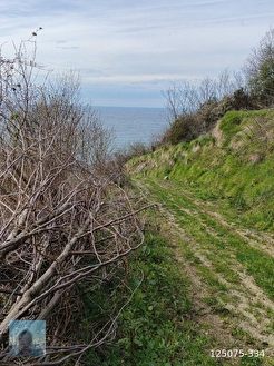perşembe caytepe mah imarlı satılık, 4402m2 manzaralı bahçe satılık. - ORDU PERŞEMBE fotoğraf 4