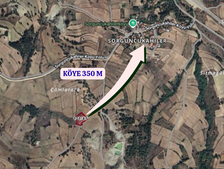 BİLECİK YENİPAZAR SORGUNCUKAHİLER   KÖYÜNDE 2.472  M²  MEYVE BAHÇESİ  SATILIKTIR - BİLECİK YENİPAZAR fotoğraf 5