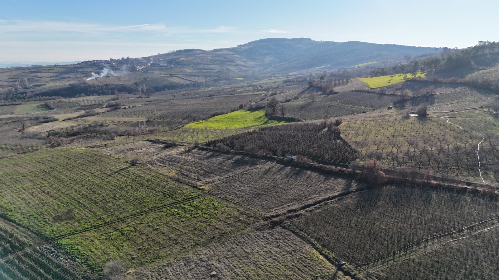 Resmi yola cepheli müstakil arsa - BİLECİK OSMANELİ fotoğraf 8