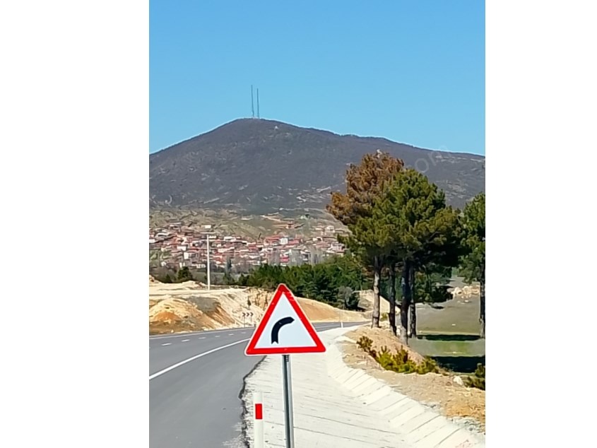 ASFALT DAHİL 3 KÖŞE ARSA ENVAİ MEYVE AĞAÇLARI MEVCUT - KÜTAHYA EMET fotoğraf 8