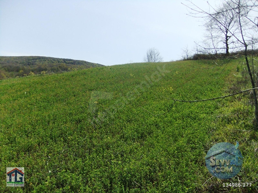 KOCAELİ/KANDIRA/AHMETHACILAR KÖYÜNDE SATILIK 2 PARSEL TARLA. - KOCAELİ KANDIRA fotoğraf 2