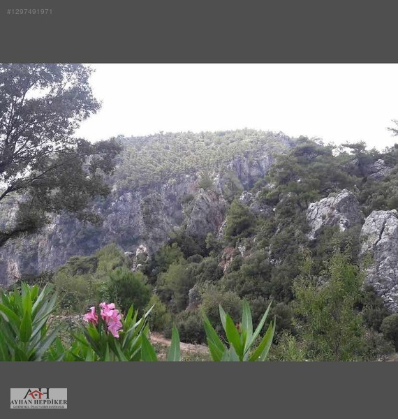 Zeytinköy'de Eko-Turizm Projesi İçin 14953 M² Satılık Arazi - MUĞLA MENTEŞE fotoğraf 2