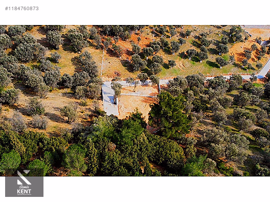 Kemalpaşa Sütçüler Satılık 873 m2 Zeytinlik - İZMİR KEMALPAŞA fotoğraf 34