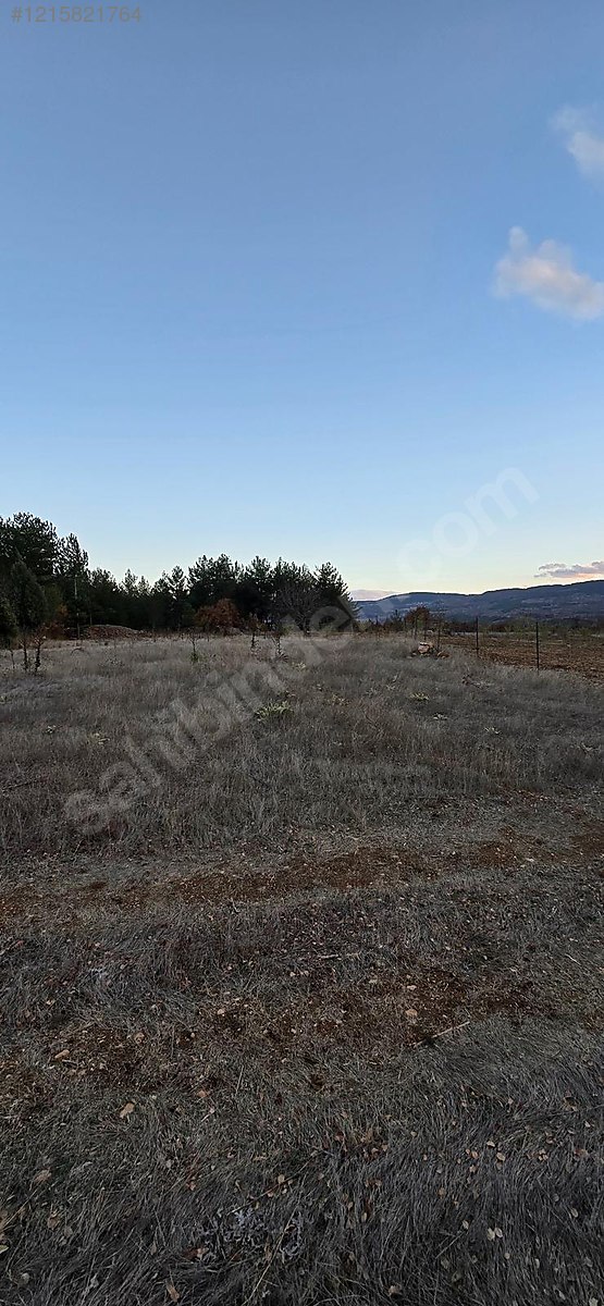 BURSA KELES KIRANIŞIKLAR KÖYÜNDE  658  M² BAĞ SATILIKTIR - BURSA KELES fotoğraf 16