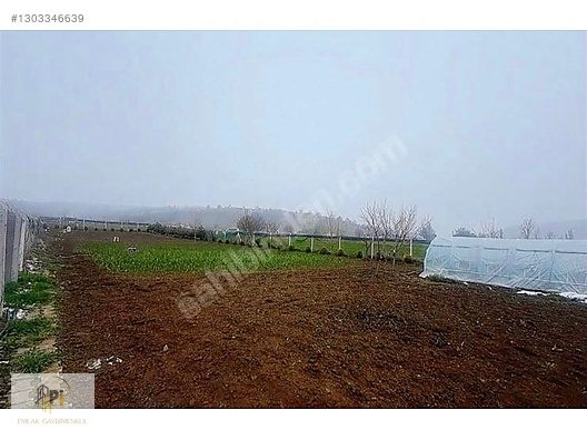 Satılık Bahçeli Ev - BİLECİK SÖĞÜT fotoğraf 10