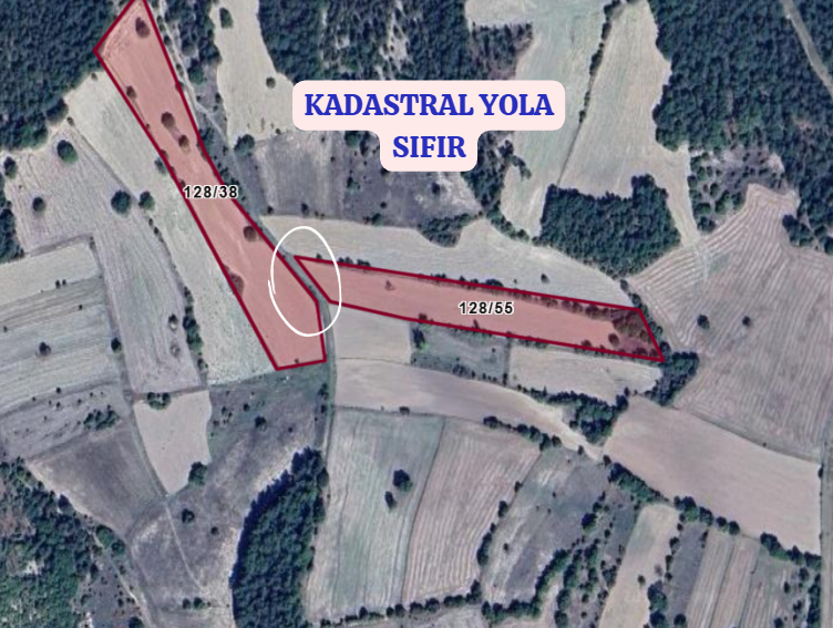 KÜTAHYA EMET ÇALCAĞIL   KÖYÜNDE 8.905  M² TARLA  SATILIKTIR - KÜTAHYA EMET fotoğraf 3
