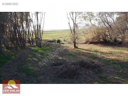 YOZGAT SORGUN TUZLACIK KÖYÜ2100 MT² ARAZİ - YOZGAT SORGUN fotoğraf 3