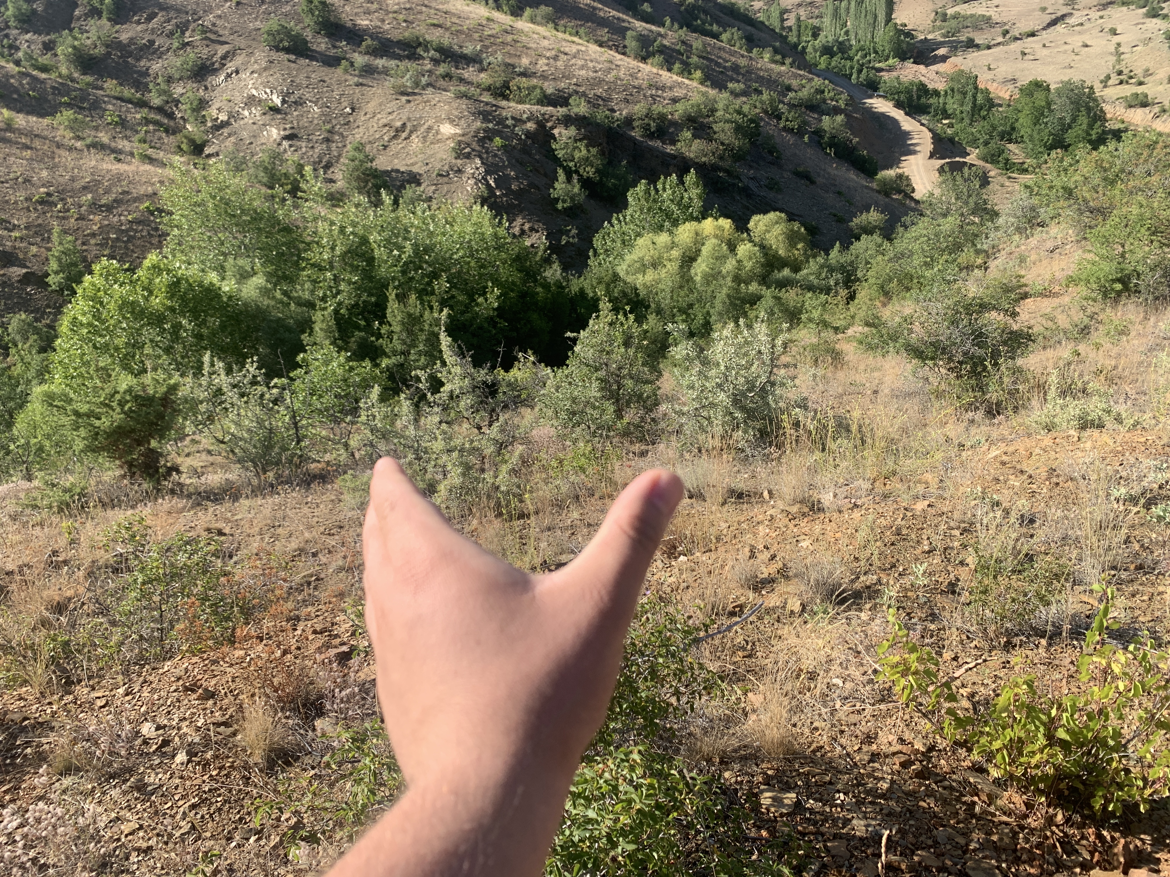 KONYA HADİM EĞİSTE KÖYÜNDE 528 M2 BAĞ SATILIKTIR. - KONYA HADİM fotoğraf 16