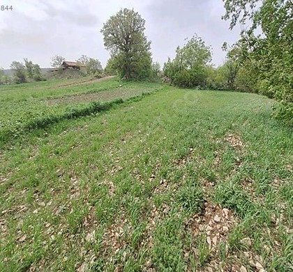BURSA KELEŞ  BAŞAK'TA  502 M²  TARLA  SATILIKTIR. - BURSA KELES fotoğraf 7