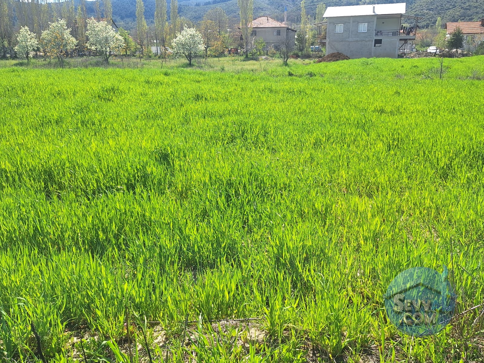 AĞLASUN KİBRİT KÖYÜNDE SATILIK FIRSAT ARAZİ - Burdur Ağlasun fotoğraf 32