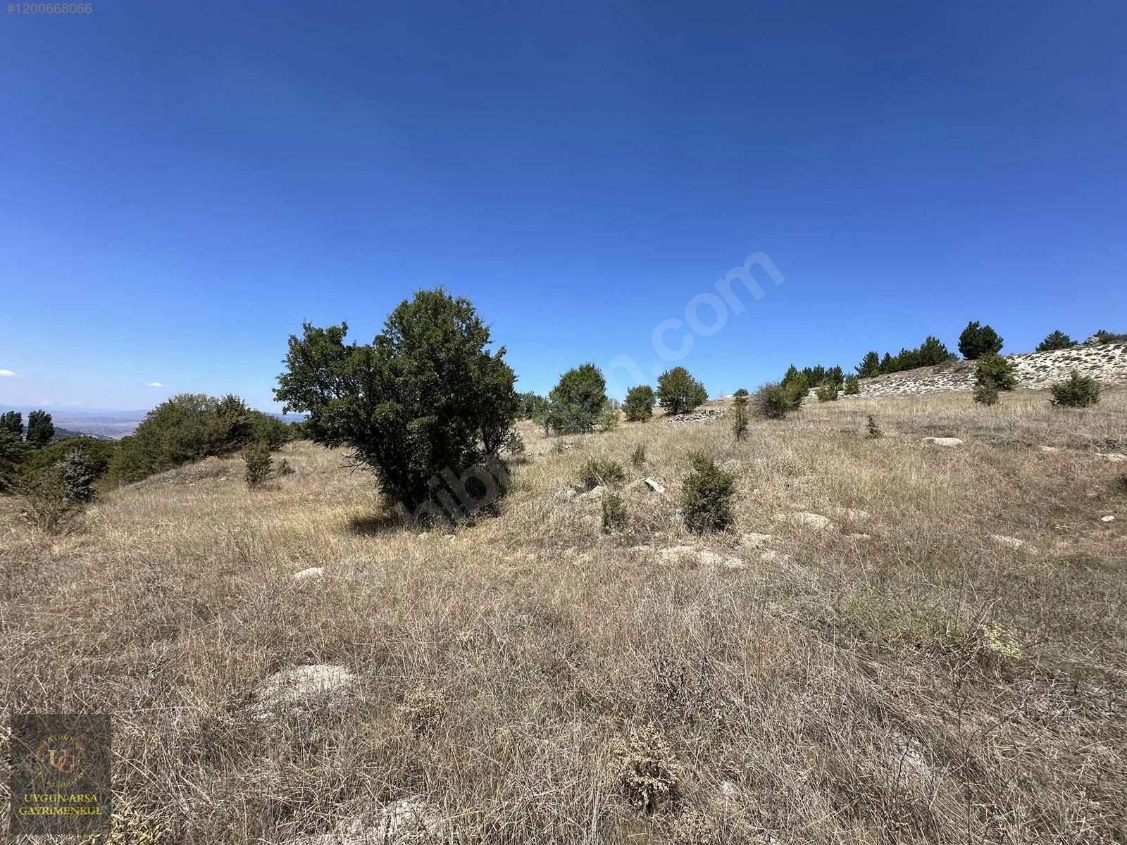 BOLU KIBRISCIK SARIKAYA'DA 8.370 M2 UYGUN ARSA - BOLU KIBRISCIK fotoğraf 12