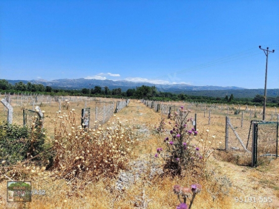 KOZAK YAYLASINDA KARAVELİLER MUHİTLERİ İÇİNDE ANA YOL KENARI 6400 M2 TARLA - İZMİR BERGAMA fotoğraf 4