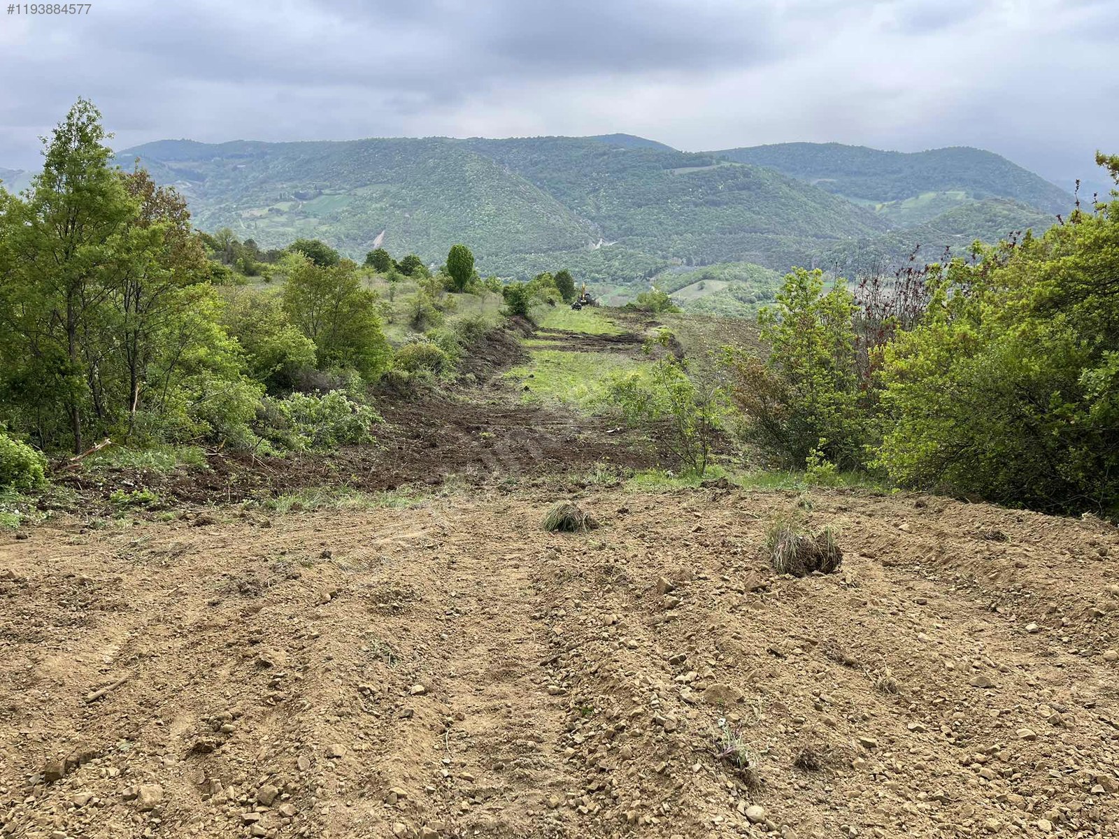 YALOVA ALTINOVA GEYİKDERE KÖYÜ’NDE 13.708 M²  TARLA SATILIKTIR - YALOVA ALTINOVA fotoğraf 7