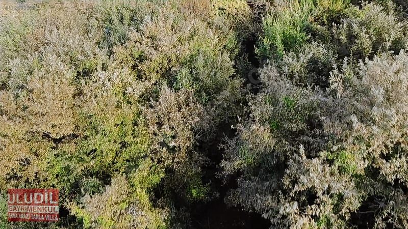 KANDIRA ÇALKÖYDE SATILIK TARLA - KOCAELİ KANDIRA fotoğraf 12