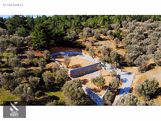 Kemalpaşa Sütçüler Satılık 873 m2 Zeytinlik - İZMİR KEMALPAŞA fotoğraf 43