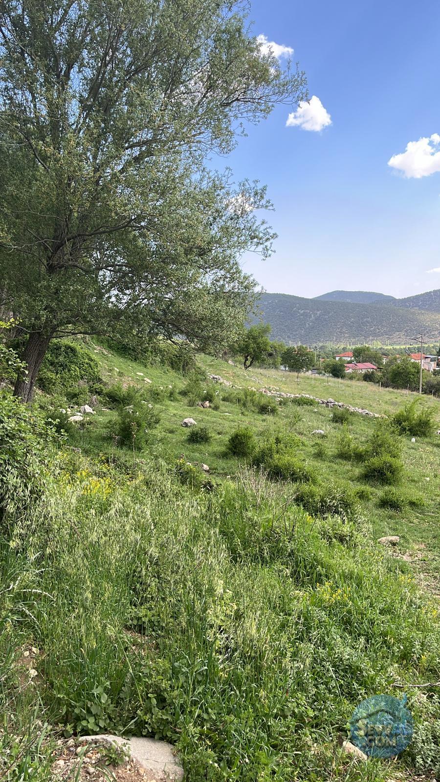AĞLASUN YAZIR KÖYÜNDE FIRSAT ARAZİ - BURDUR AĞLASUN fotoğraf 16