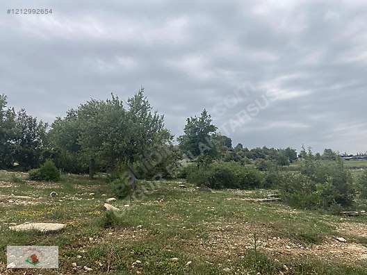 Çamlıyayla Giden Köyü Satılık Arsa Tek tapu - MERSİN ÇAMLIYAYLA fotoğraf 2