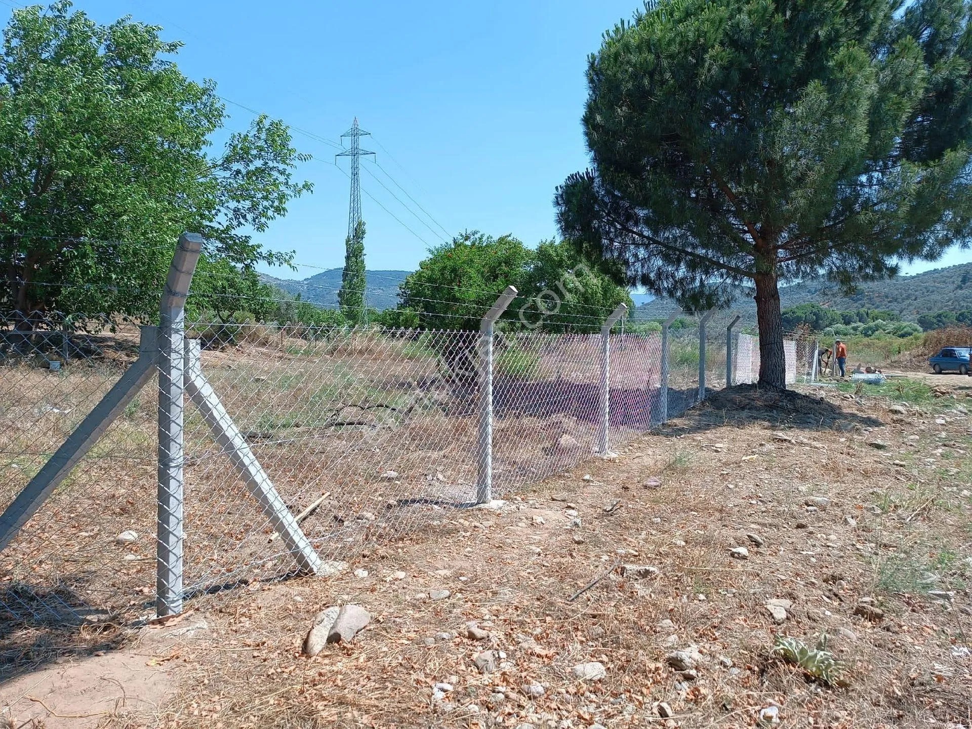 Balıkesir Burhaniye Bahadınlı Köyünde Satılık Tarla Bahçe - BALIKESİR BURHANİYE fotoğraf 7