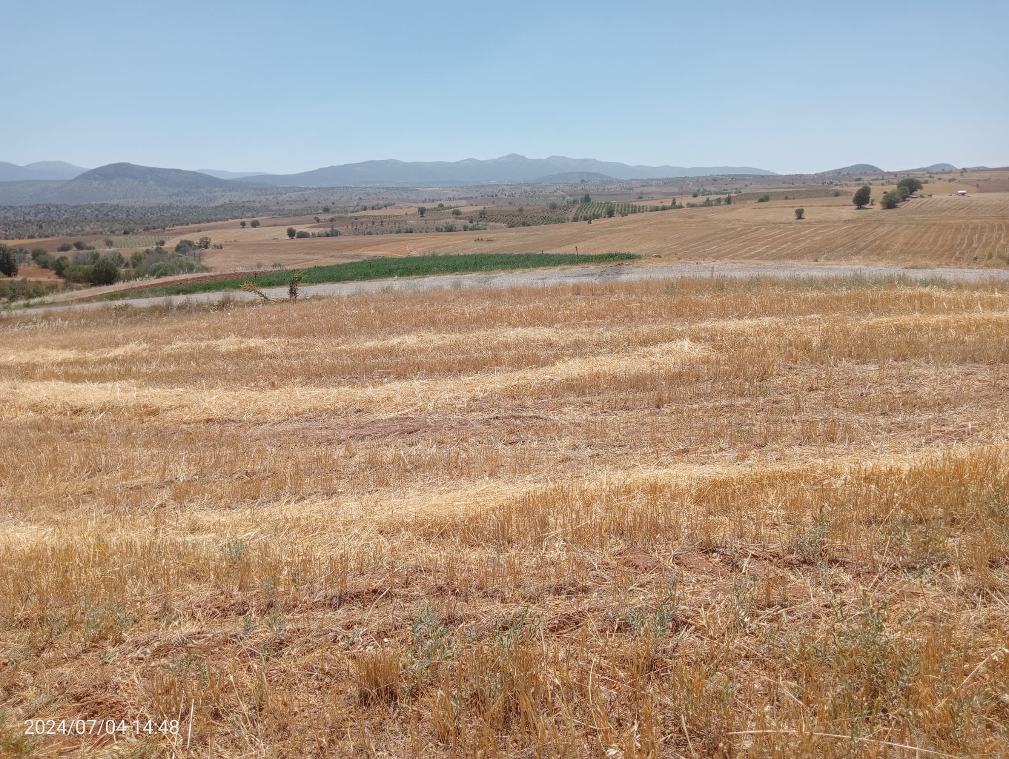    KARAMAN MERKEZ MURATDEDE  KÖYÜNDE 2.927  M²  TARLA  SATILIKTIR - KARAMAN MERKEZ fotoğraf 10
