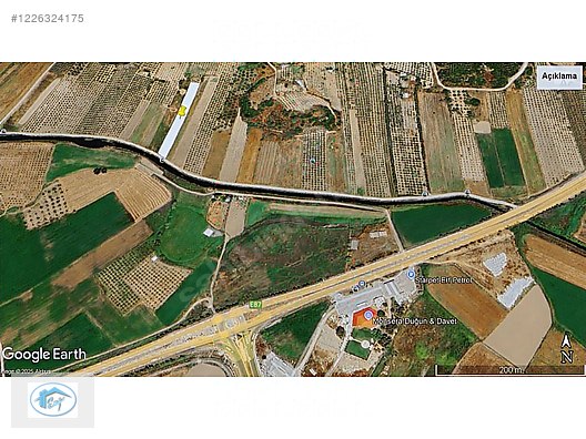ASFALT YOLA CEPHELİ, DENİZE VE TOPLU TAŞIMAYA YAKIN ZEYTİNLİK - İZMİR ALİAĞA fotoğraf 5
