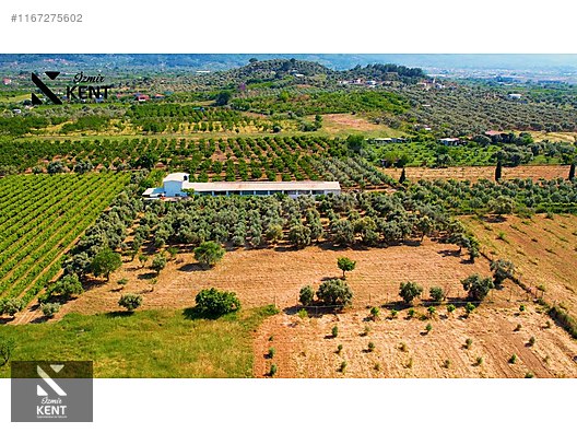 Kemalpaşa Armutlu Satılık 2300 m2 Bahçe Müstakil Parsel Tek Tapu - İZMİR KEMALPAŞA fotoğraf 28