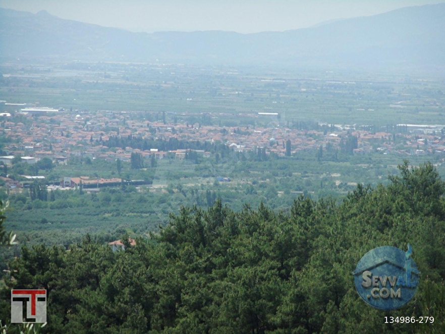TEZCAN GAYRİMENKUL'DEN SAKARYA/GEYVE/DOĞANTEPE KÖYÜNDE ZEYTİNLİK. - SAKARYA GEYVE fotoğraf 3