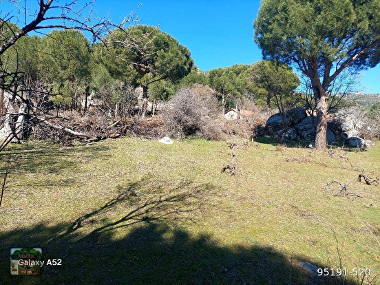 KOZAK YAYLASI HACIHAMZALAR MAH DE 736 M2 ARSA - İZMİR BERGAMA fotoğraf 4