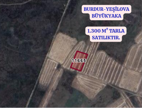 BURDUR YEŞİLOVA BÜYÜKYAKA KÖYÜ 1.300M² TARLA SATILIKTIR - BURDUR YEŞİLOVA fotoğraf 3