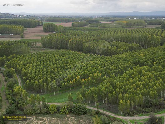 YATIRIM FIRSATI! ERENLER/ŞEYHKÖY MAH. 24.620 M² - SAKARYA ERENLER fotoğraf 30