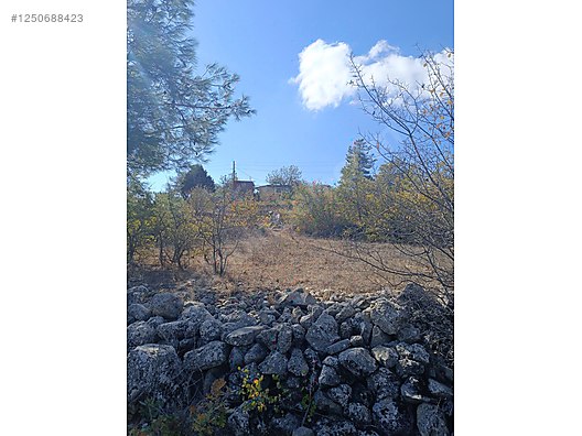    MERSİN GÜLNAR ÇUKURKONAK 2.499M² TARLAMIZ SATILIKTIR.   - MERSİN GÜLNAR fotoğraf 9