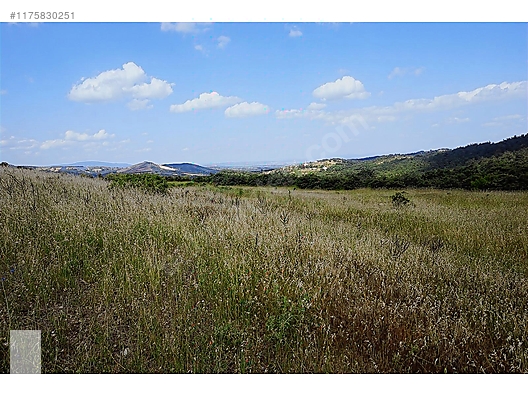 ÇANAKKALE BAYRAMİÇ MURATLAR KÖYÜ 45.000 m2 TARLA - ÇANAKKALE BAYRAMİÇ fotoğraf 22