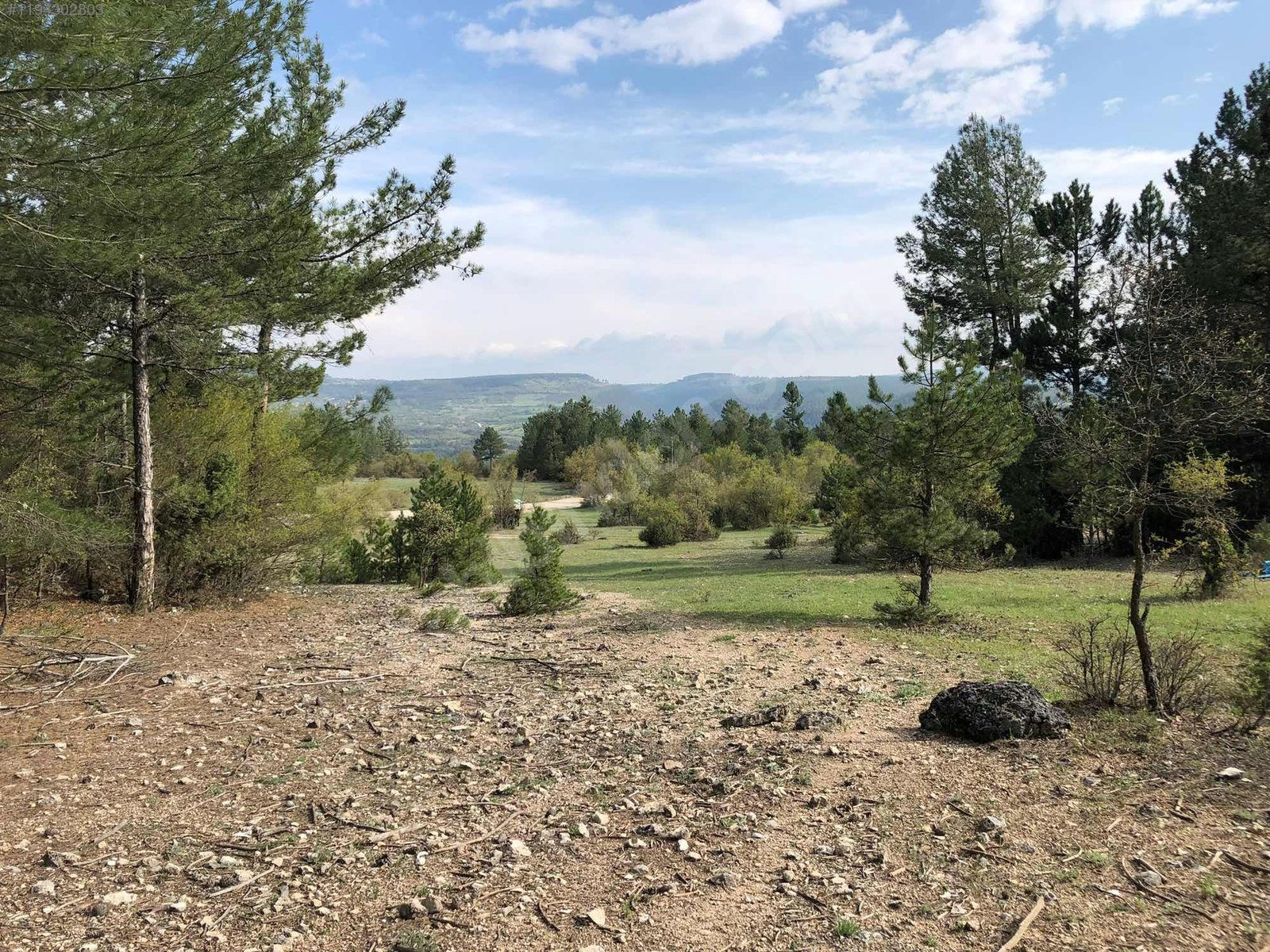 BURSA KELEŞ MENTEŞE 4.493 M² TARLA SATILIKTIR. - BURSA KELES fotoğraf 9
