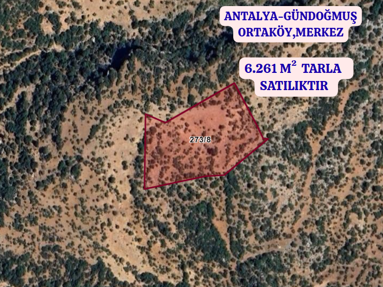 ANTALYA GÜNDOĞMUŞ ORTAKÖY,MERKEZ  KÖYÜNDE  6.261  M²  TARLA SATILIKTIR - ANTALYA GÜNDOĞMUŞ fotoğraf 2