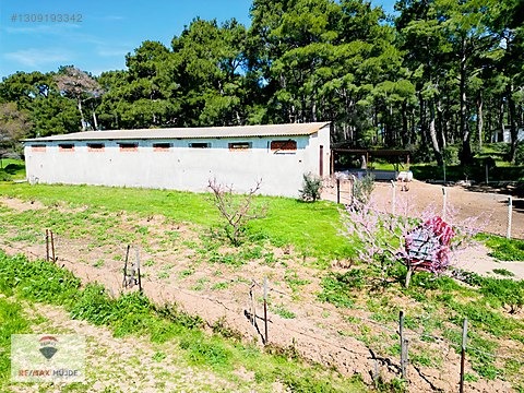 Çanakkale Bayramiç Kutluoba Satılık Tarla - ÇANAKKALE BAYRAMİÇ fotoğraf 27