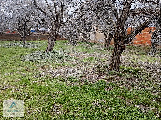 Atlantik gayrimenkul den satılık imarlı arsa - İZMİR ÖDEMİŞ fotoğraf 20