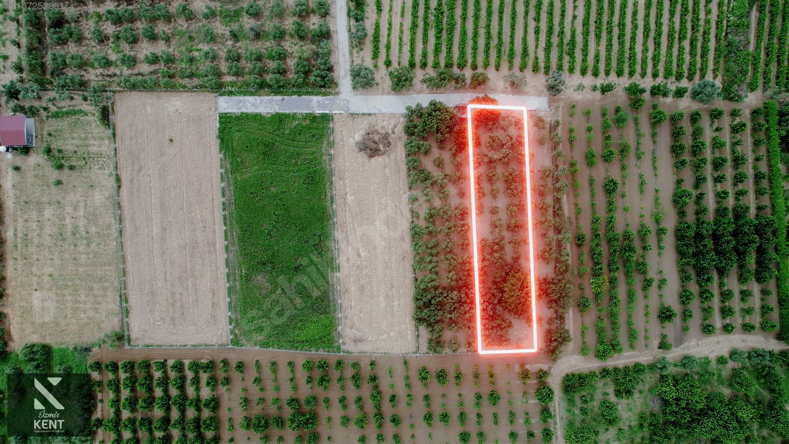 Kemalpaşa Aşağıkızılca Satılık Bahçe Tek Tapu 881 m2 - İZMİR KEMALPAŞA fotoğraf 25