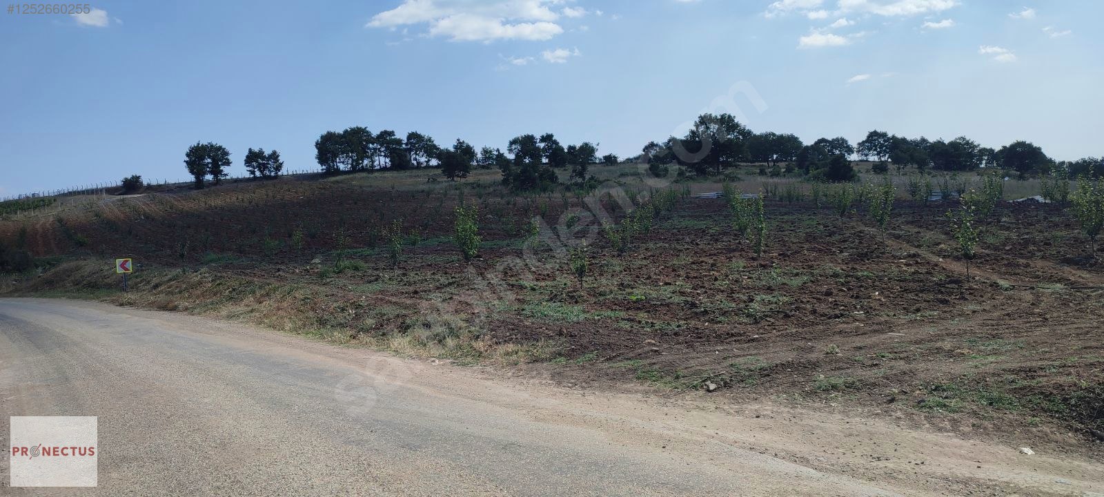 YÖRÜKLER MAHALLESİNDE ASFALT YOLA CEPHE SATILIK 5833 M2 TARLA - BURSA İZNİK fotoğraf 4