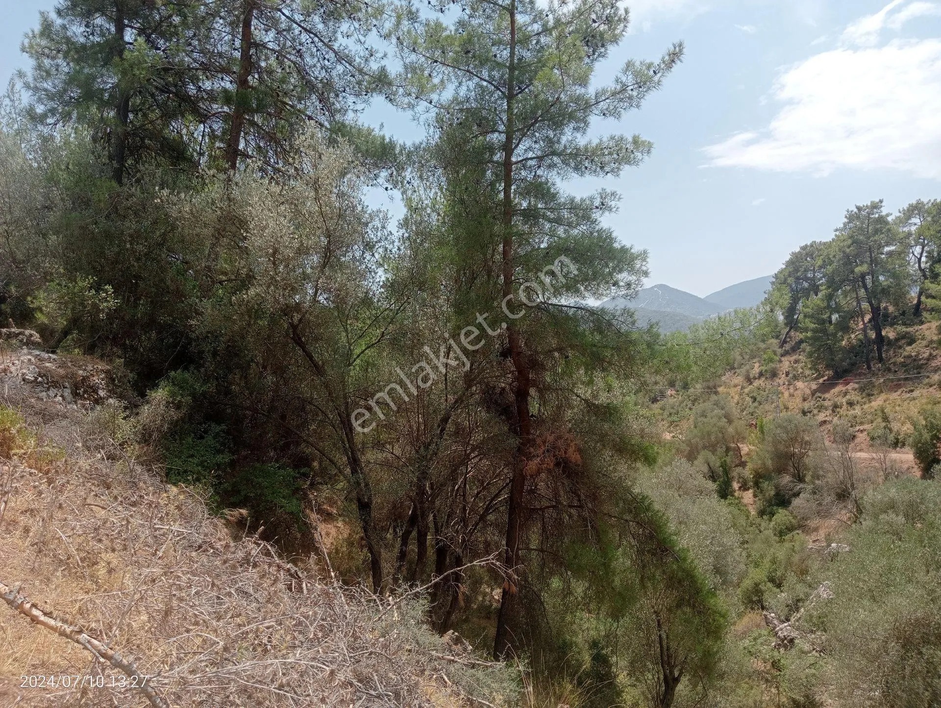 Antalya Kumluca Orta Köyde Satılık Tarla İnceoğlu Emlak - ANTALYA KUMLUCA fotoğraf 18