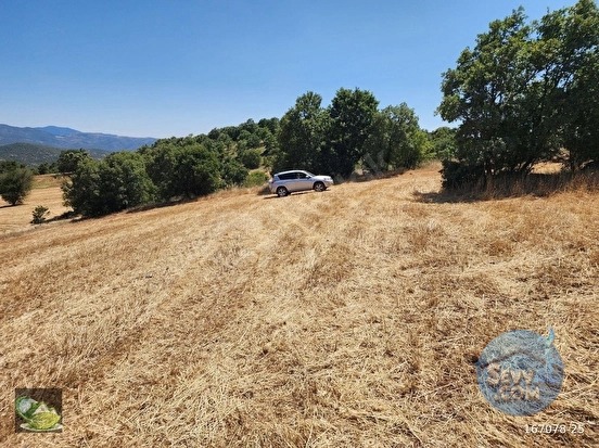 🚨 DURSUNBEY OSB YAKININDA 2.547 M² YATIRIMLIK VERİMLİ TARLA 🚨 - BALIKESİR DURSUNBEY fotoğraf 23