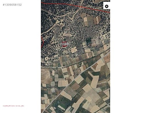 BURDUR MERKEZ KAPAKLI KÖYÜNDE İÇİNDE 20 30 ADET ARDIÇ AĞAÇLARI - BURDUR MERKEZ fotoğraf 2