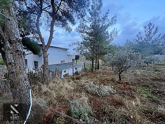 Kemalpaşa Armutlu Hürriyet Mah. Satılık 1.950 m2 Bahçe - İZMİR KEMALPAŞA fotoğraf 13