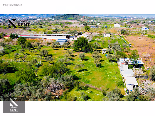Kemalpaşa Armutlu Satılık Arazi 4.000 m2 - İZMİR KEMALPAŞA fotoğraf 17