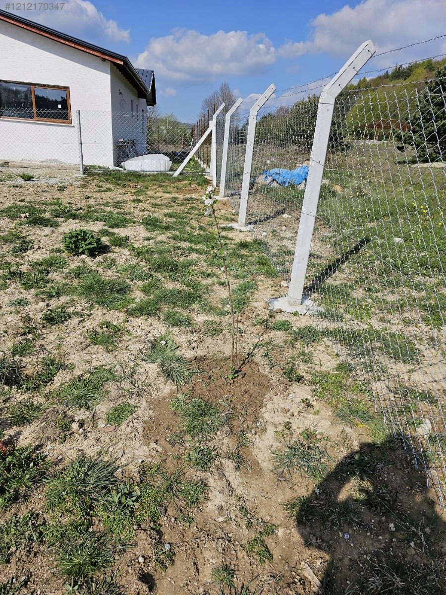 BURSA İZNİK HACIOSMAN'DA 505 M² ARSAMIZ SATILIKTIR - BURSA İZNİK fotoğraf 15