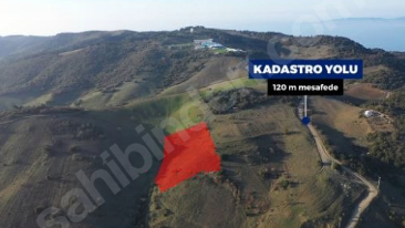 BURSA MUDANYA ÇEPNİ  KÖYÜNDE 7.362 M²  TARLA SATILIKTIR - BURSA MUDANYA fotoğraf 10